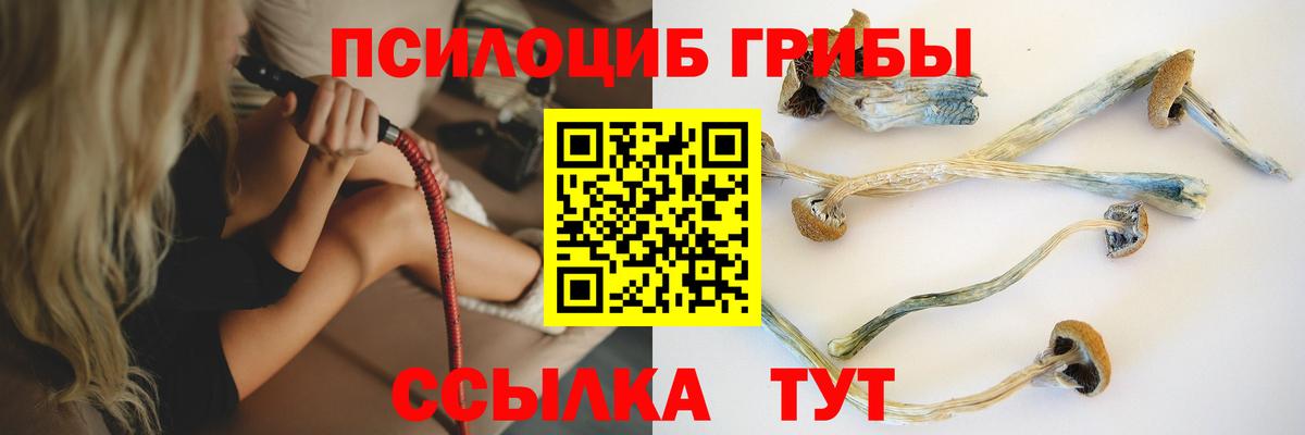 Корсаков  наркота  Вход с VPN  Галлюциногенные грибы Cubensis 